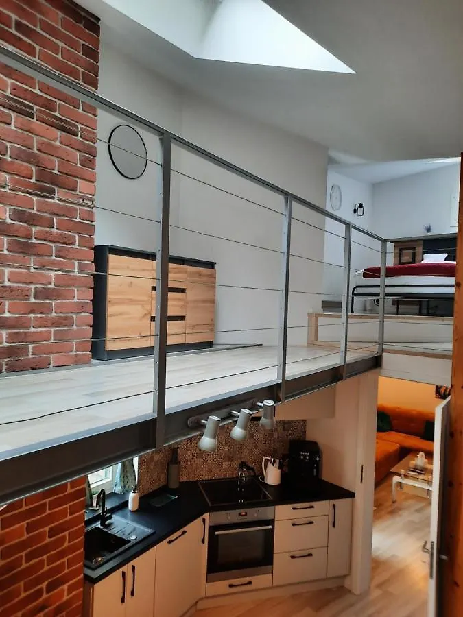 Exclusive Art Apartment Krakow