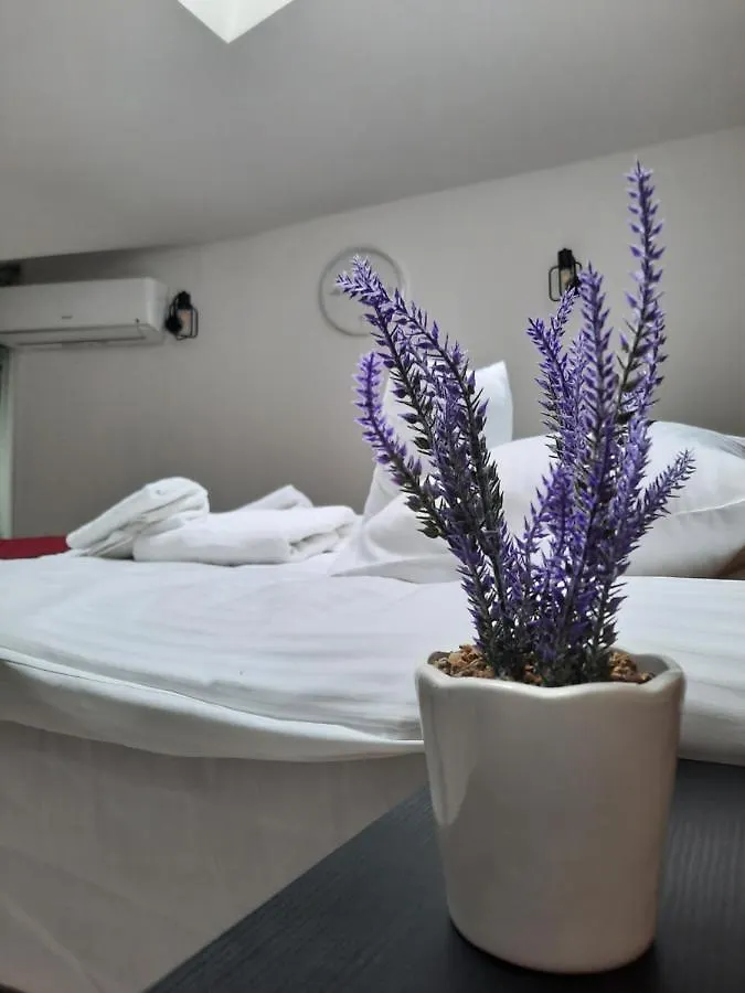 Exclusive Art Apartment Krakow