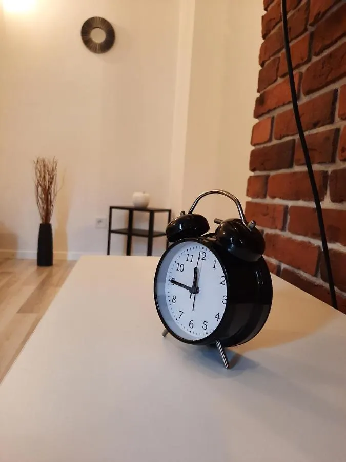 Exclusive Art Apartment Krakow 0*,